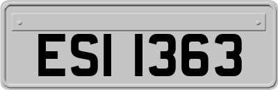 ESI1363