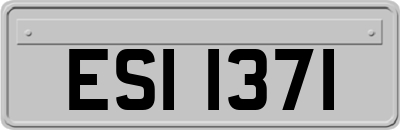ESI1371