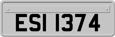 ESI1374