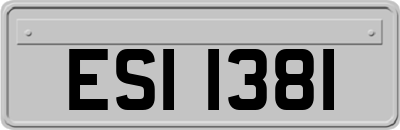 ESI1381