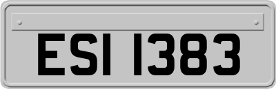 ESI1383