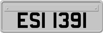 ESI1391