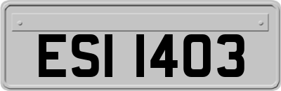ESI1403