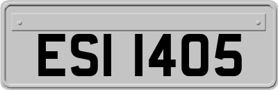 ESI1405