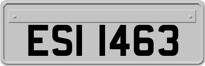 ESI1463