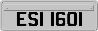 ESI1601