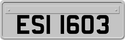 ESI1603