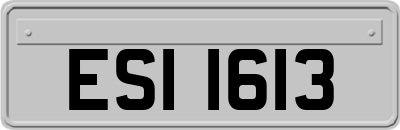 ESI1613