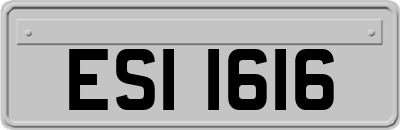 ESI1616