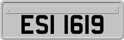 ESI1619