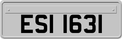 ESI1631