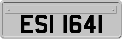 ESI1641