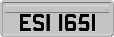 ESI1651