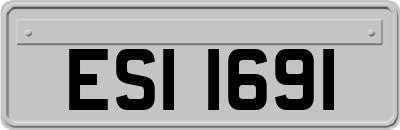 ESI1691