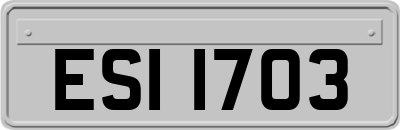 ESI1703