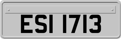 ESI1713