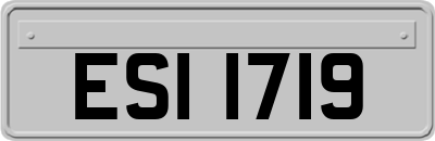 ESI1719