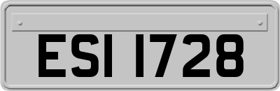 ESI1728