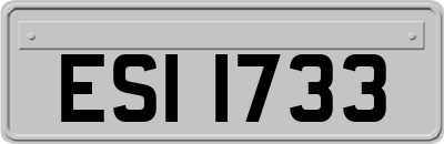 ESI1733