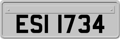 ESI1734