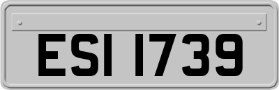 ESI1739