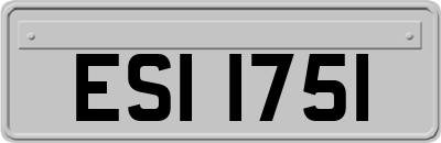 ESI1751
