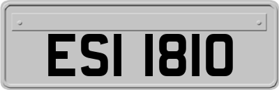 ESI1810