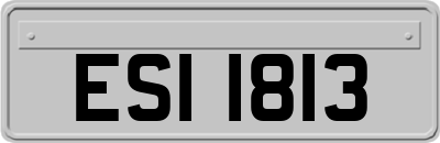 ESI1813