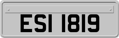 ESI1819