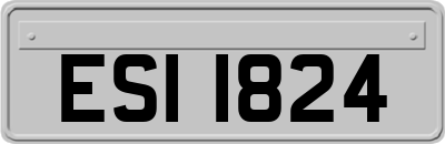ESI1824