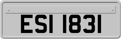 ESI1831