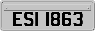ESI1863
