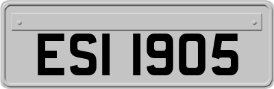 ESI1905
