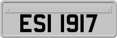 ESI1917