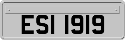 ESI1919