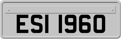 ESI1960