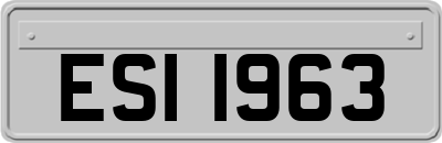 ESI1963