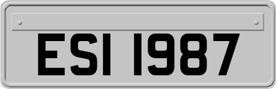 ESI1987