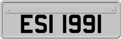 ESI1991