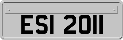 ESI2011