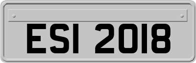 ESI2018