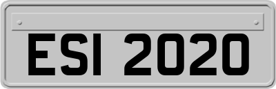 ESI2020