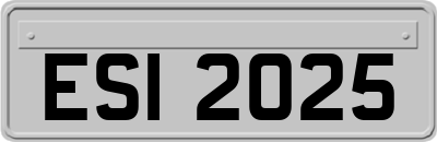 ESI2025