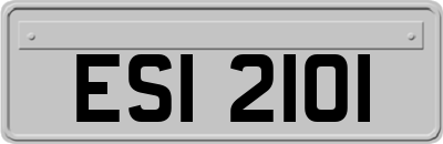 ESI2101