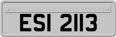 ESI2113