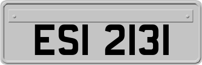 ESI2131