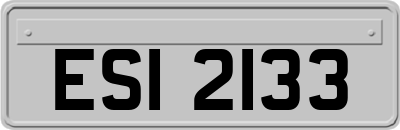 ESI2133