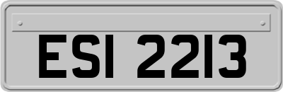 ESI2213
