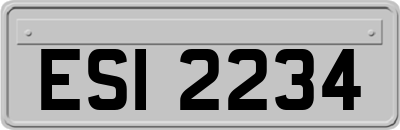 ESI2234