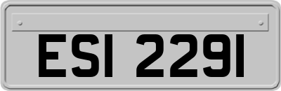 ESI2291